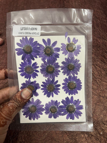 Violet Daisy Flower pack