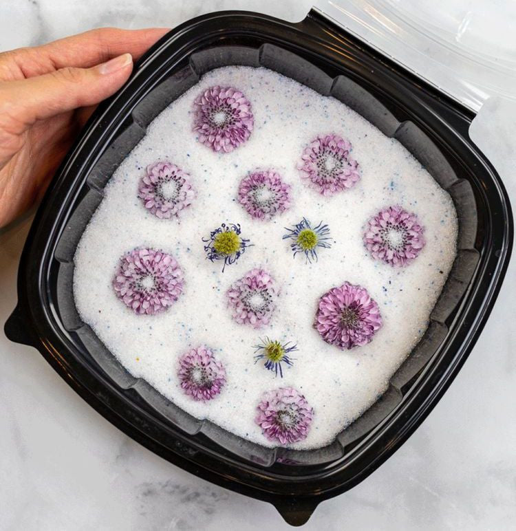 Purple and yellow flowers positioned in a container of fine white silica gel for drying