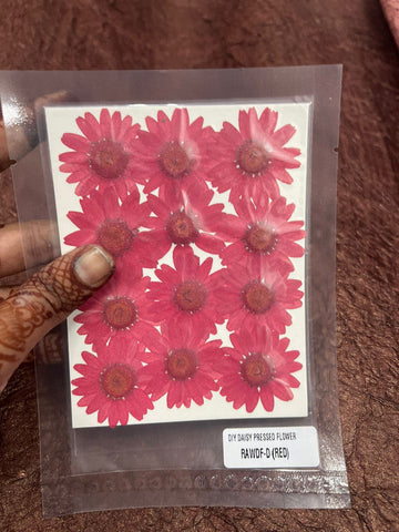 Red  Daisy Flower pack