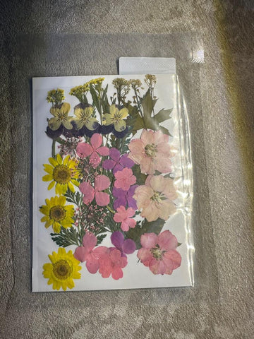 Dry Flowers Pack 001