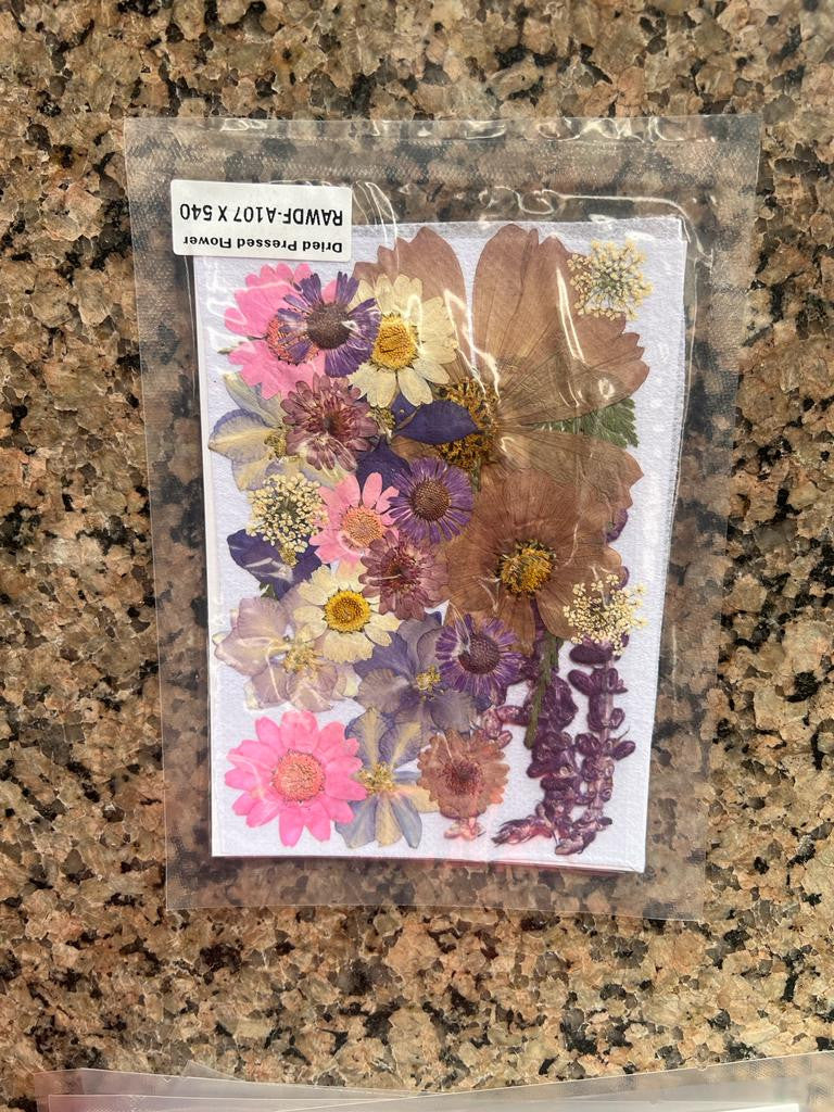 Dry Flowers H