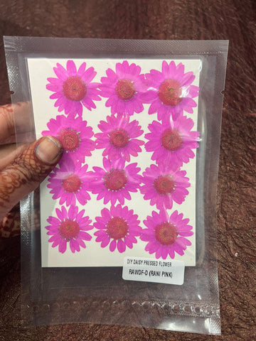 Pink  Daisy Flower pack