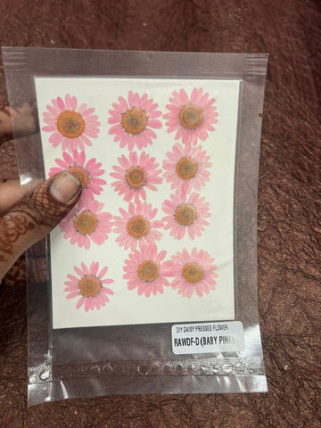 Baby Pink  Daisy Flower pack