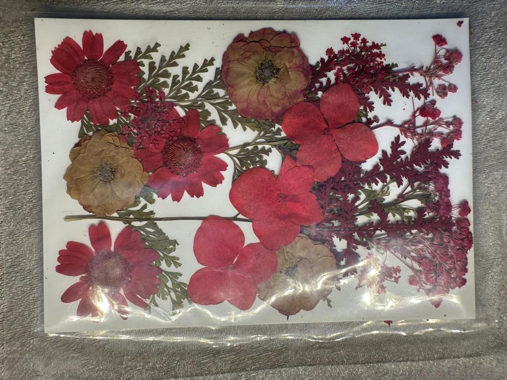 Dry Flowers Pack 004