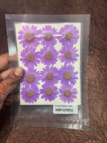 Purple Daisy Flower pack