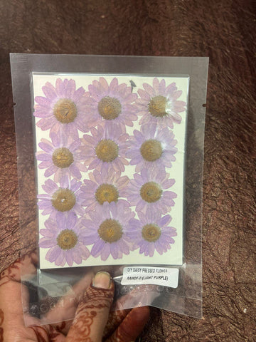 Light Purple  Daisy Flower pack