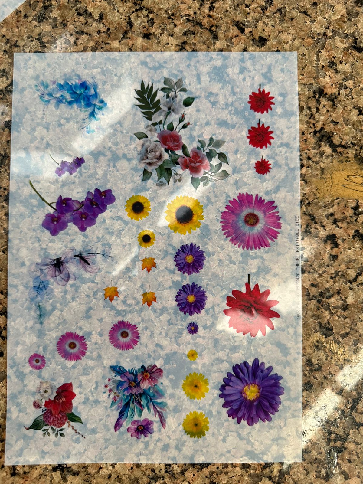 Flower Simple Insert Flower insert sheet 001