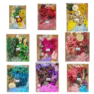 Dried flower pack combo