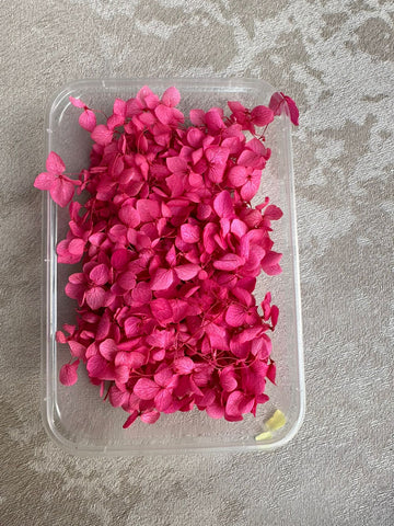 Hydrangea pink flower box